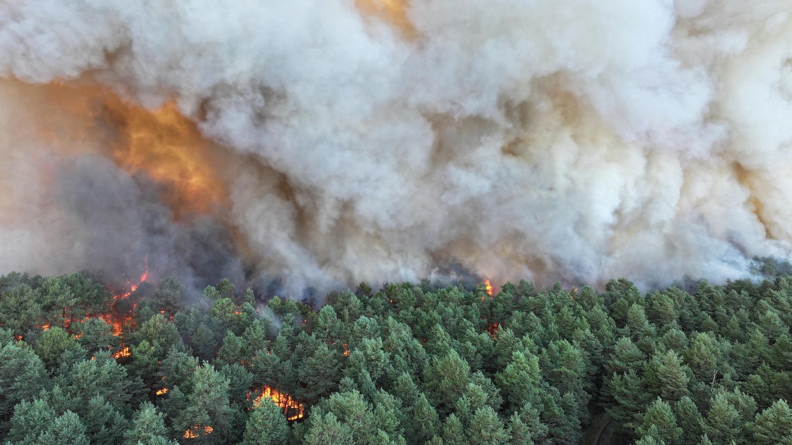 Incendiu de „amploare excepţională” în apropierea Parisului: este bănuită originea „voluntară”. Fontainebleau, „rezervație a biosferei” 1 wp header logo 1038