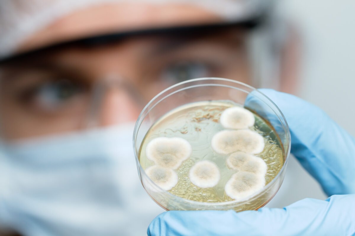 Bacteria care a eliminat complet tumorile după o singură doză 1 wp header logo 1206