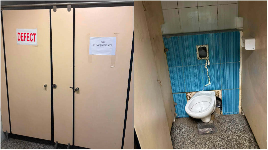 wp header logo 1372