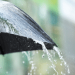 wp header logo 2147