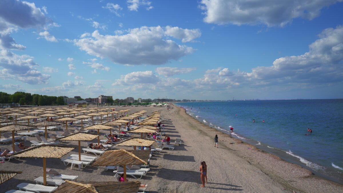 Bacteria Vibrio poate apărea și în Marea Neagră. Când este cel mai mare risc și cine trebuie să fie atent 1 wp header logo 256