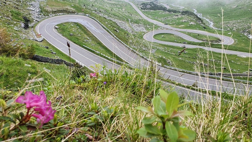 Trafic rutier închis luni pe mai multe tronsoane ale DN 7C – Transfăgărăşan. Recomandările Poliției 1 wp header logo 403