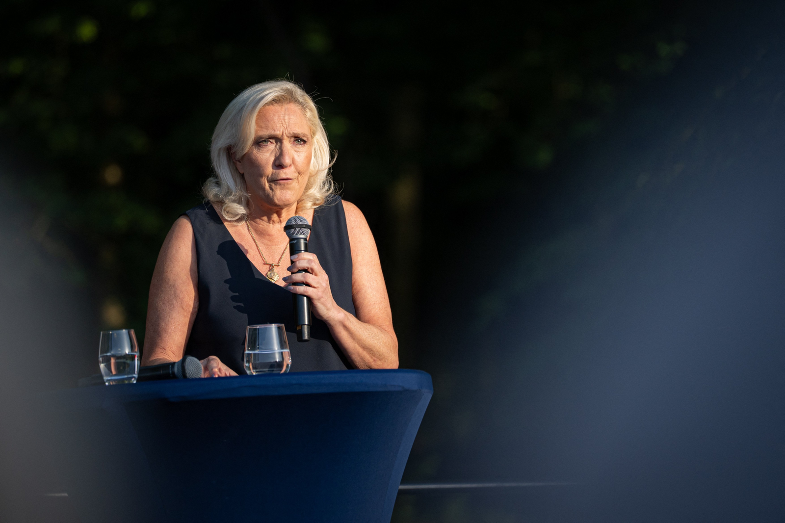 Marine Le Pen și-a anunțat candidatura la președinția Franței: Jordan Bardella va fi prim-ministrul său 1 wp header logo 587