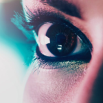 wp header logo 620