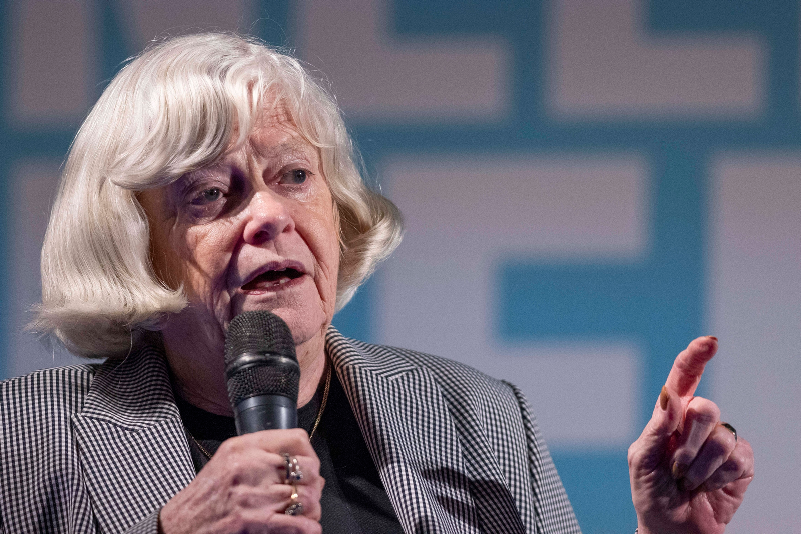 Moartea fostei deputate britanice Ann Widdecombe, purtătoare de cuvânt a Reform UK: poliția a reținut un suspect 1 wp header logo 823