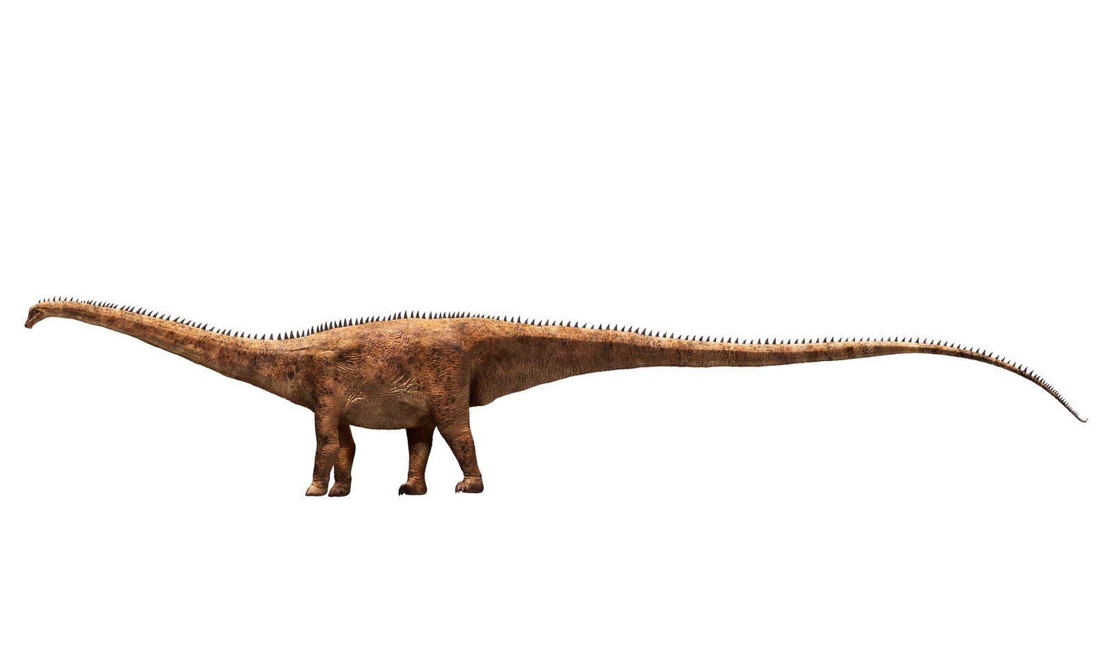 O nouă specie de dinozaur uriaș a fost descoperită pornind de la o singură vertebră 1 wp header logo 912
