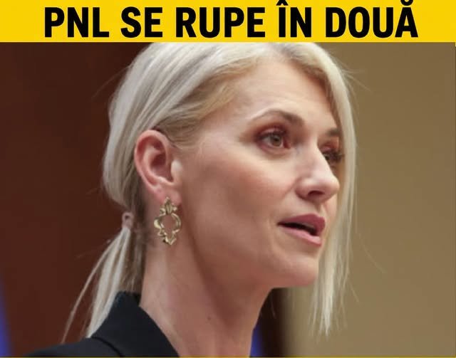 Ilie Bolojan, pus la pământ de Alina Gheorghiu! PNL se dez…Vezi mai mult 1 727497580 1527596162226294 2005380732669386794 n