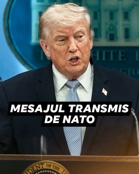 772656336 1049403634105344 6409997664191858963 n