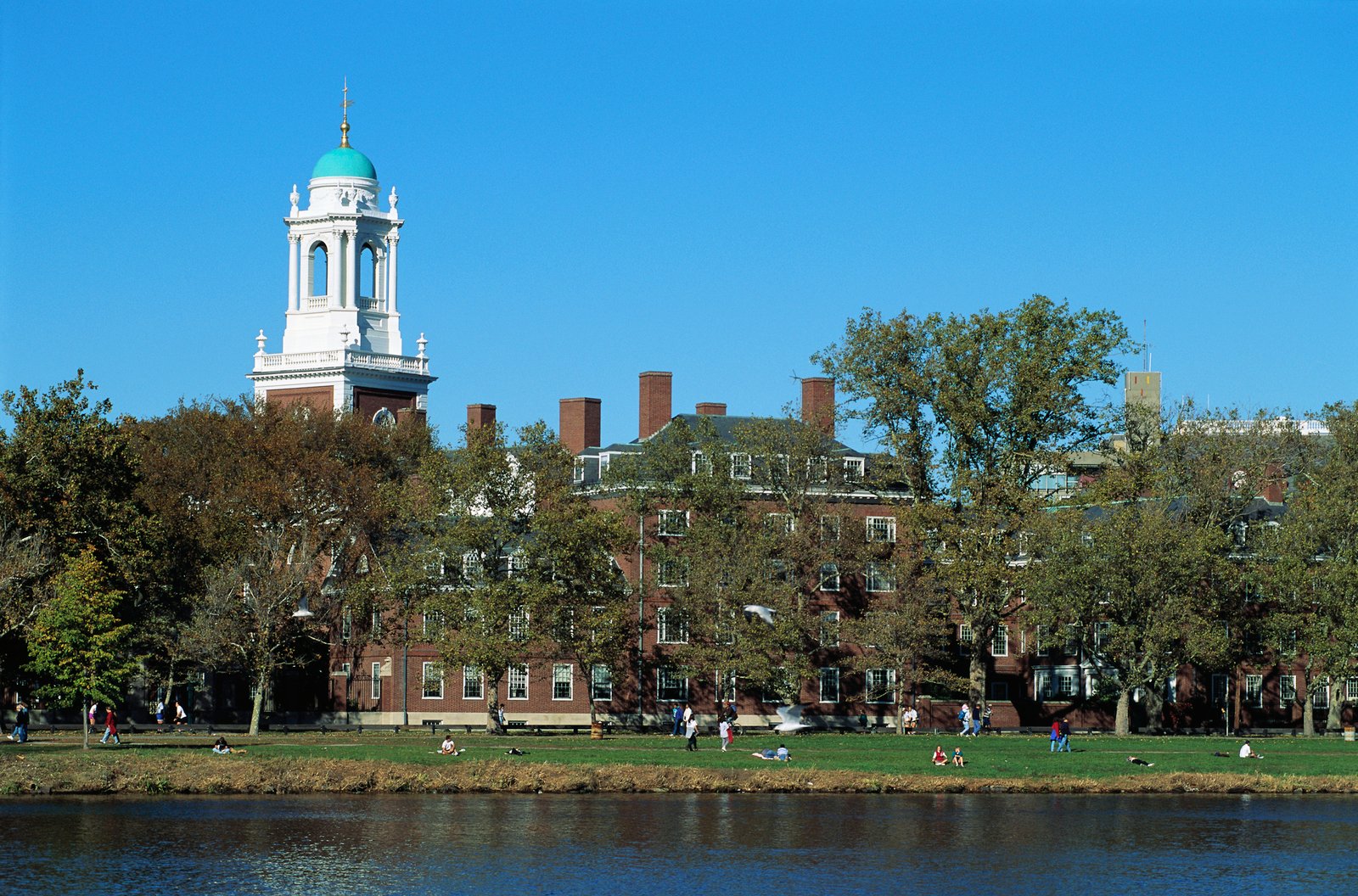 Un judecător american a respins plângerea administrației Trump împotriva Harvard privind protestele pro-palestiniene 1 wp header logo 1079