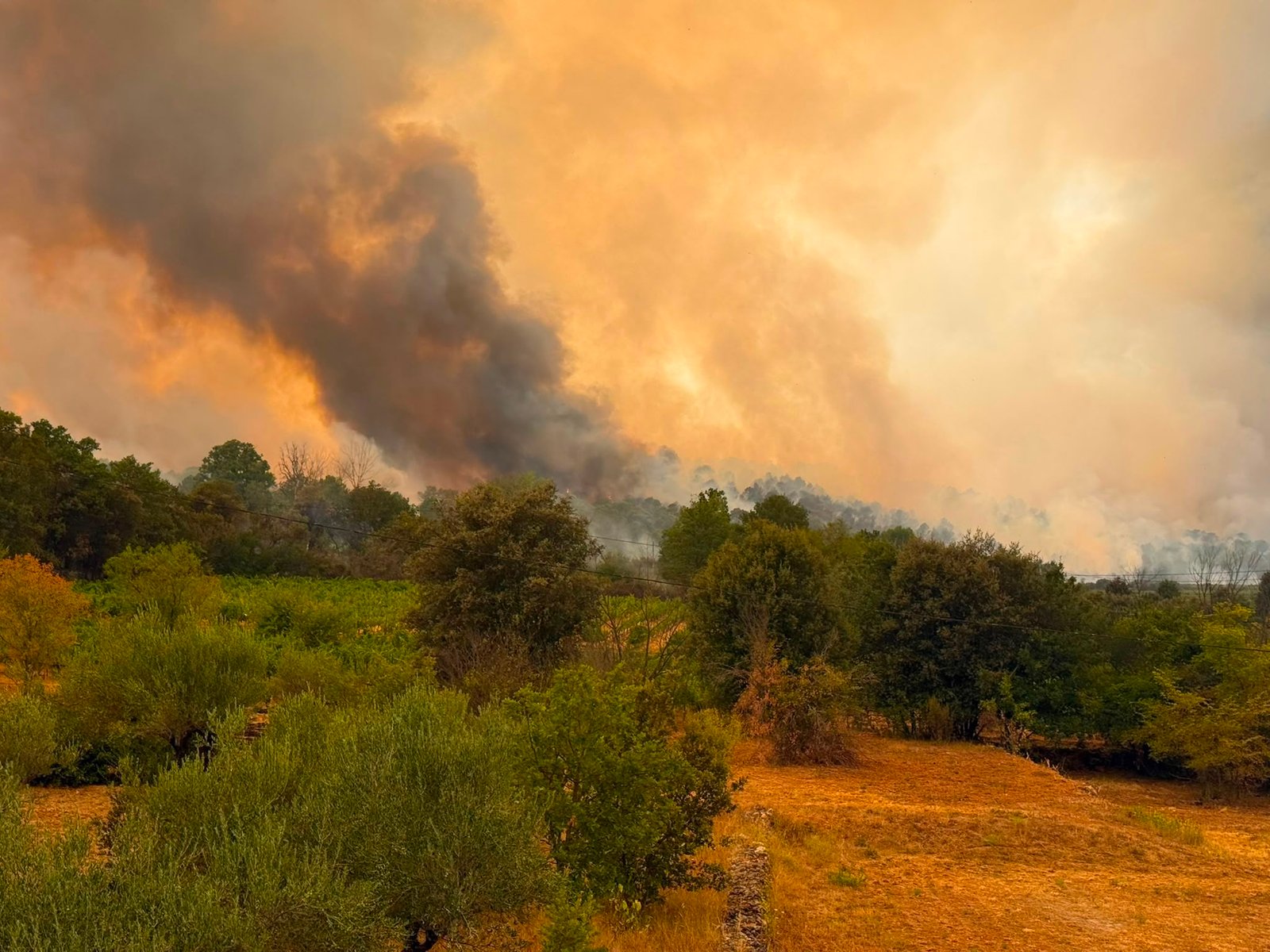 Pompierii români luptă cu un incendiu major în Franța. Flăcările amenință locuințe din apropierea localității Correns 1 wp header logo 11