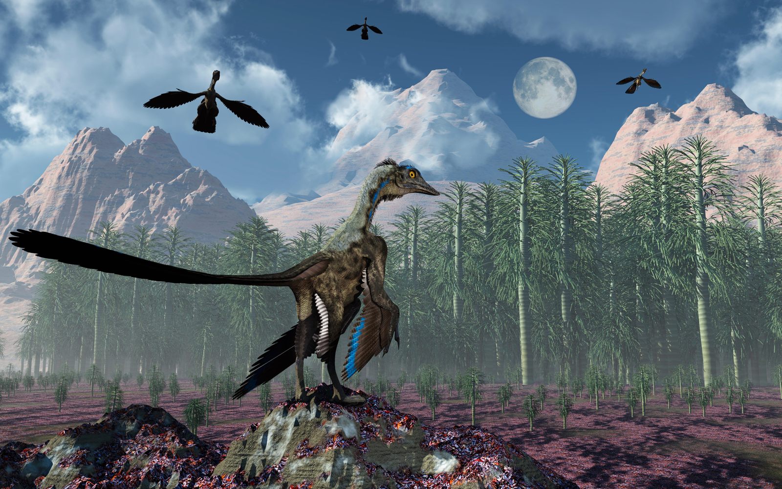 Archaeopteryx și salturile spre cer: ce au descoperit cercetătorii despre primele încercări de zbor ale păsărilor 1 wp header logo 1336