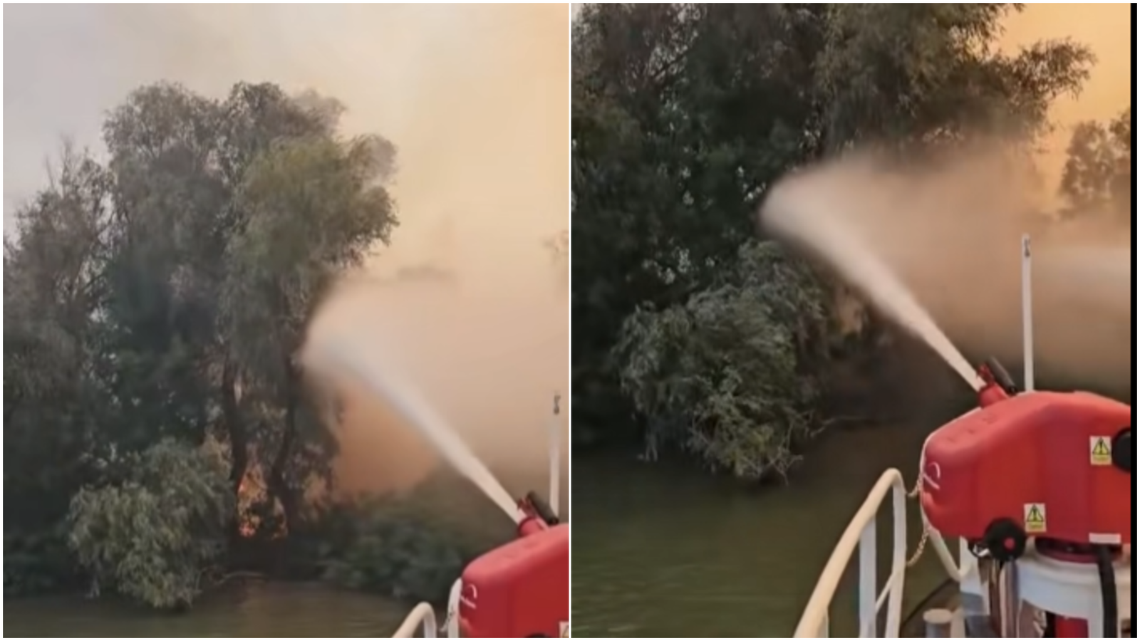 Incendiul din Delta Dunării: 700 de hectare afectate. „Zona în care se manifestă ultimele focare este greu accesibilă” 1 wp header logo 1500