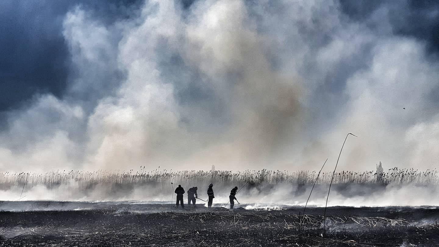 Pompierii din Caraş-Severin luptă pentru a treia zi cu incendiile de vegetaţie 1 wp header logo 173