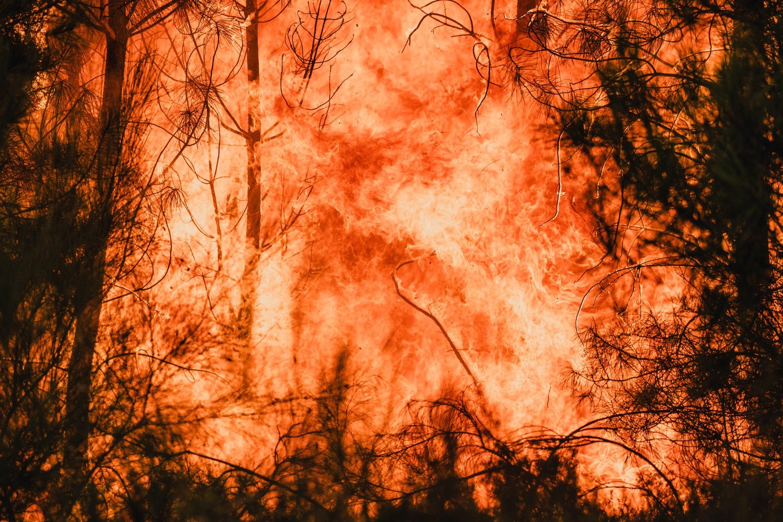 Criza climatică alimentează incendiile din Europa. Studiu: Riscul condițiilor extreme a crescut de 20 de ori în Spania 1 wp header logo 177