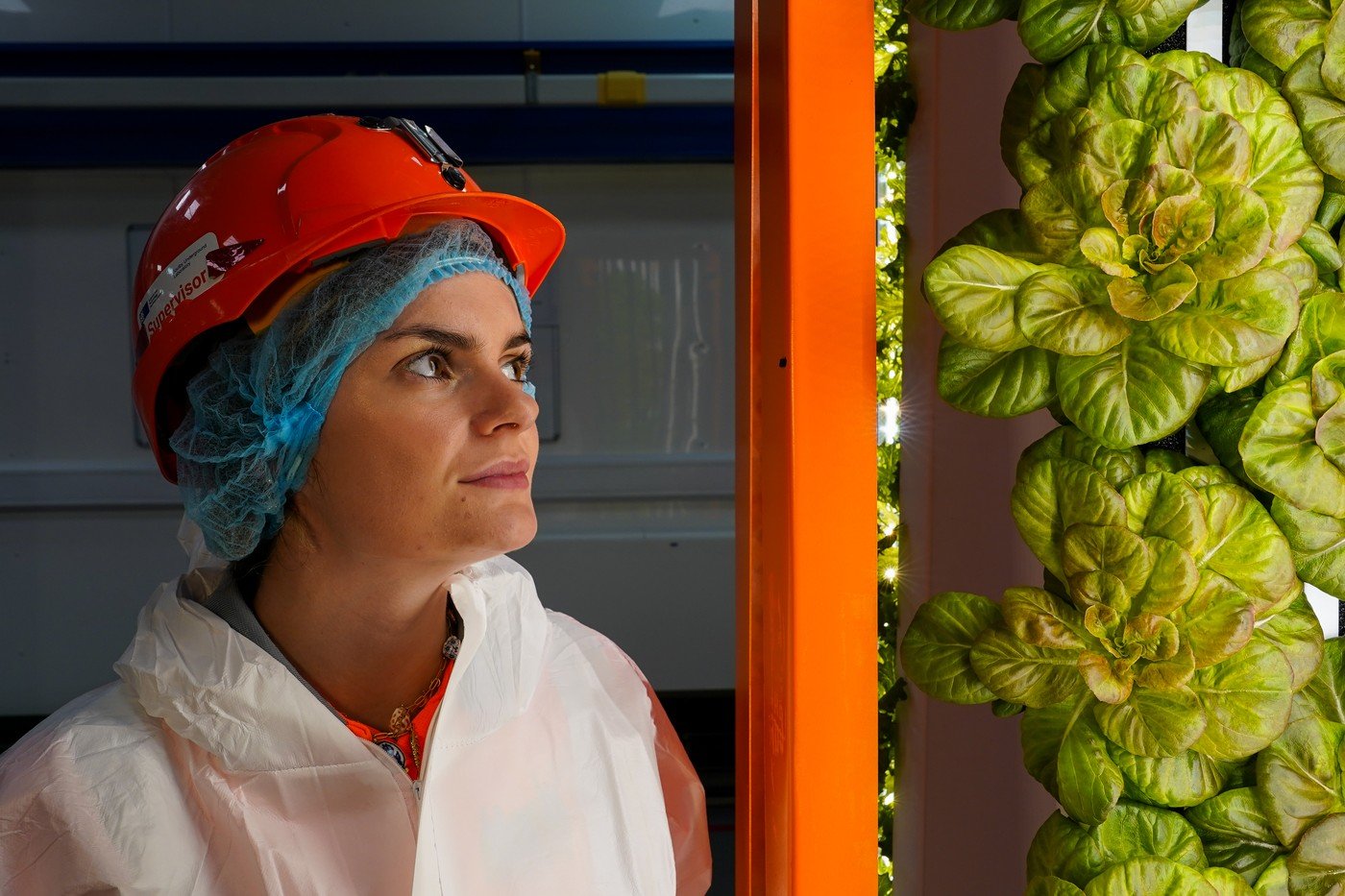 Salată cultivată în subteran și ferme la peste 1.000 de metri adâncime. Cum încearcă cercetătorii britanici să rezolve criza alimentară 1 wp header logo 1831