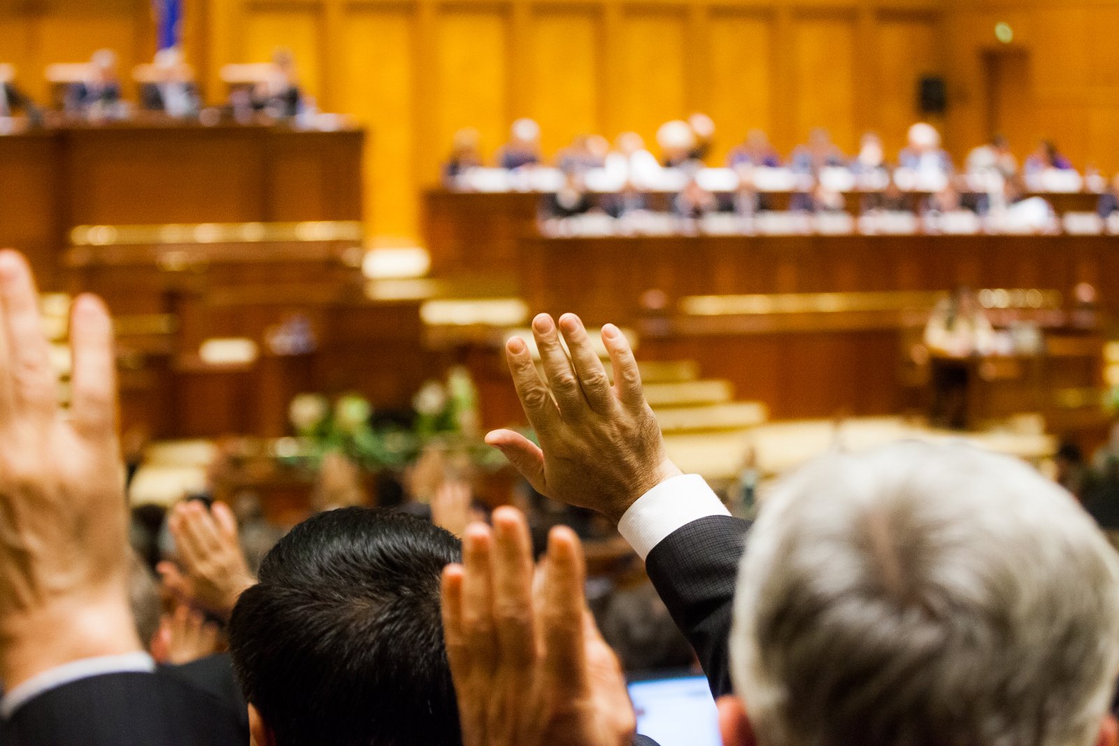 Camera Deputaților, convocată în sesiune extraordinară pentru rediscutarea proiectului noii legi a integrității 1 wp header logo 20