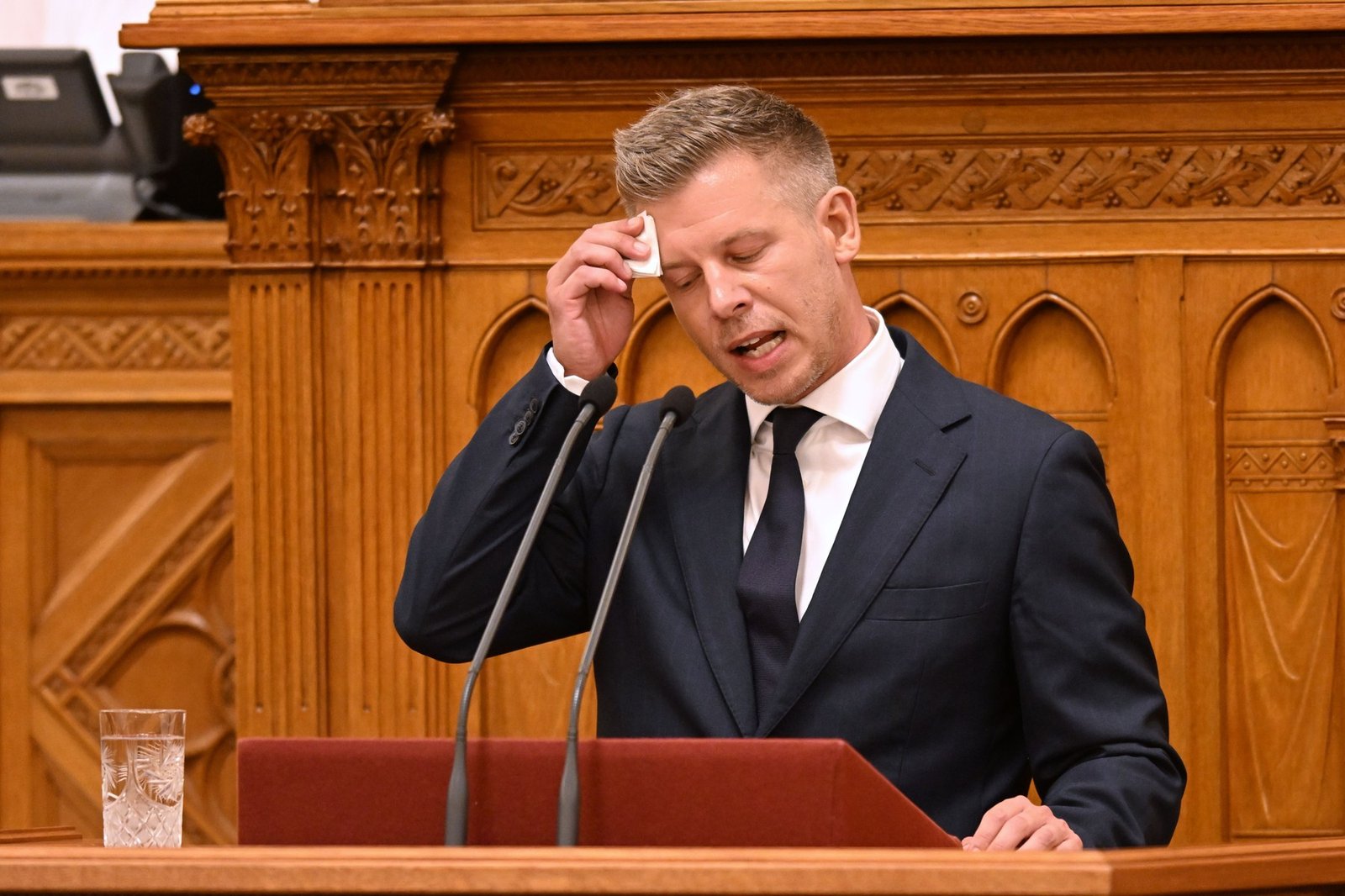 Criza energetică din Ungaria îl pune la încercare pe Peter Magyar. Primul test major pentru noul premier 1 wp header logo 250