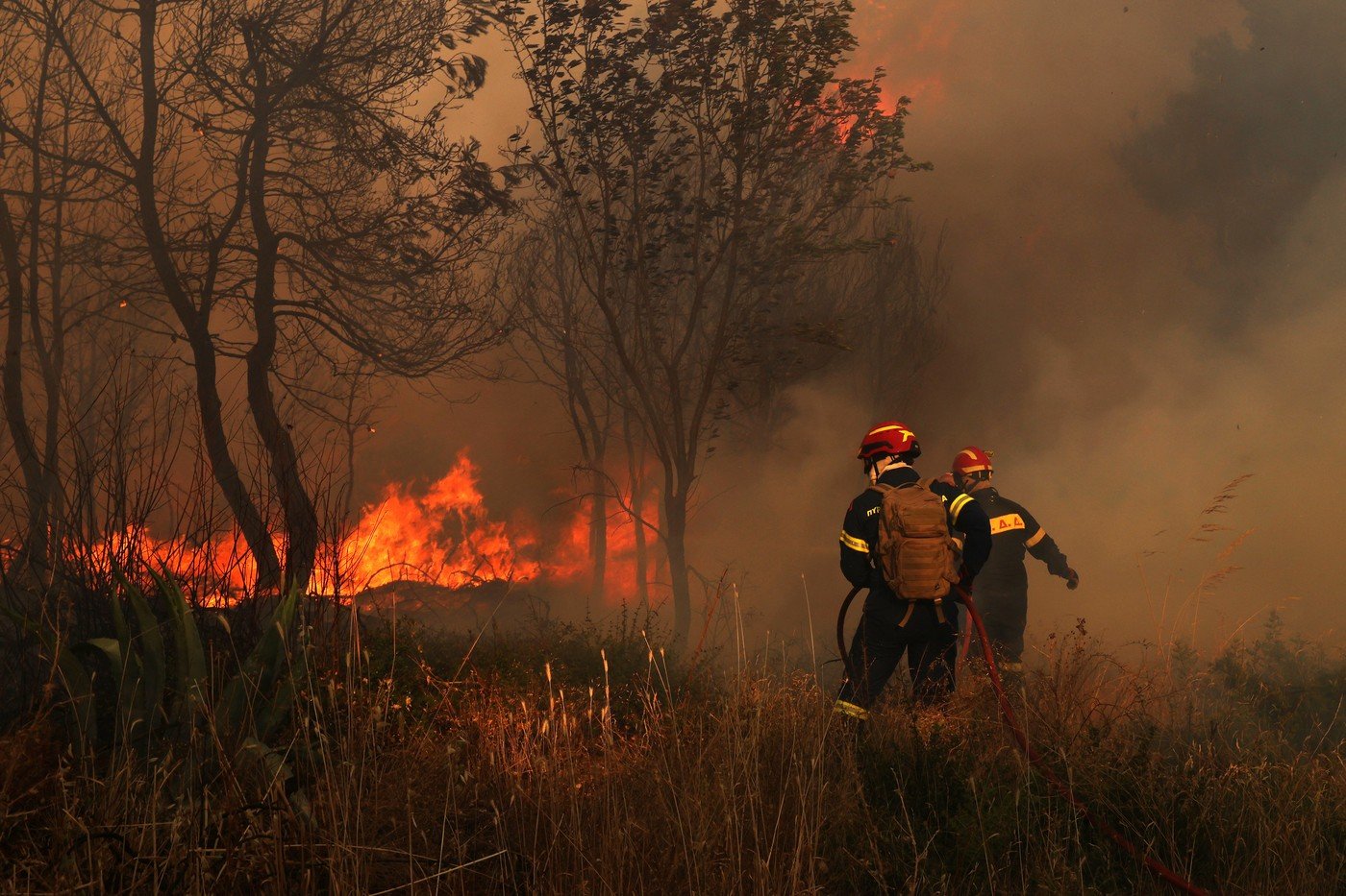 Incendiile continuă să amenințe Grecia. Pompierii câștigă teren în apropierea Atenei, dar riscul rămâne ridicat 1 wp header logo 322