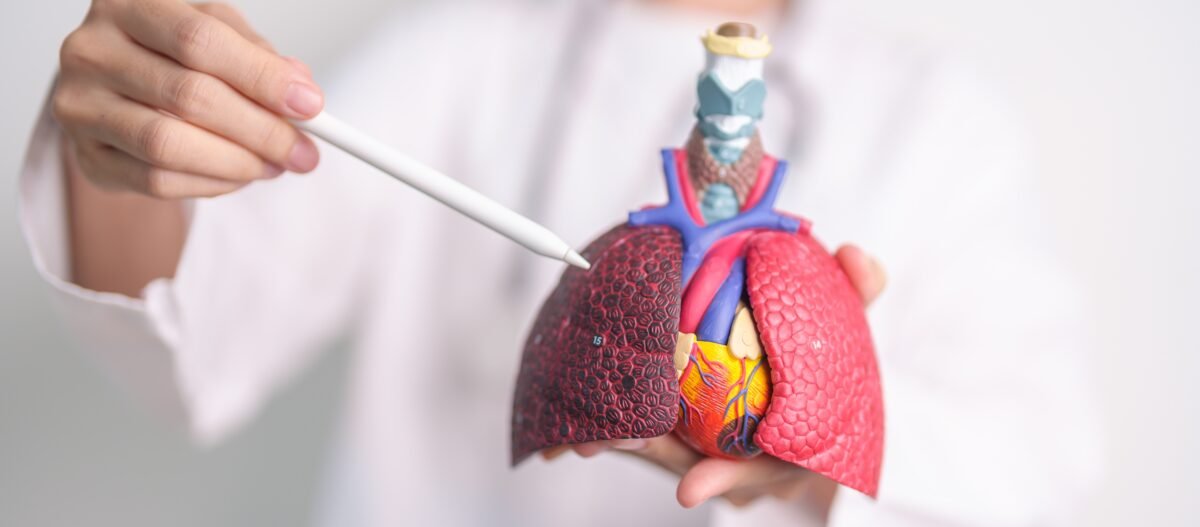 Cancerul pulmonar nu afectează doar fumătorii. Medicul explică factorii de risc pe care mulți îi ignoră 1 wp header logo 372