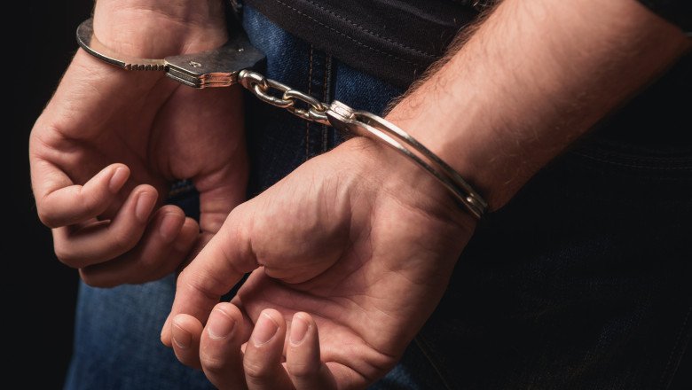 Fiul primăriţei din Berchişeşti, medic veterinar, pus sub acuzare şi reţinut pentru uciderea a sute de câini 1 wp header logo 474