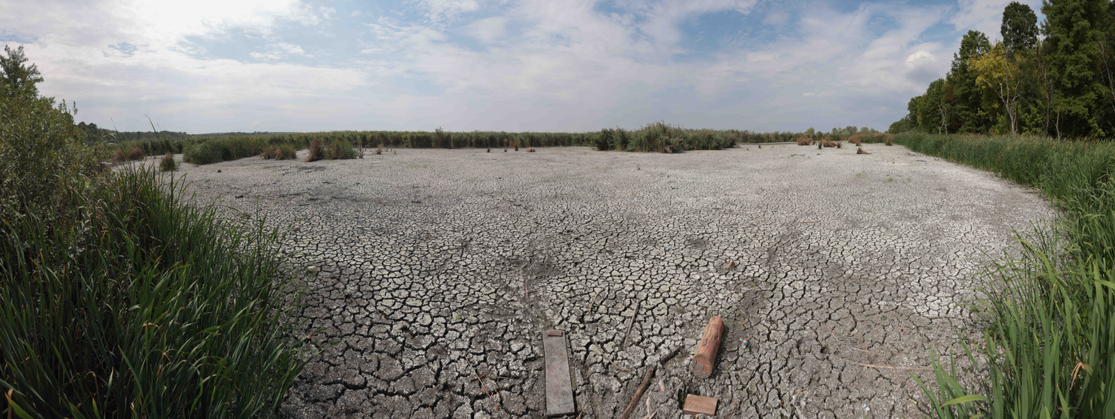 De ce nu ajută ploile de vară la diminuarea secetei. Climatolog: Sunt distribuite neuniform și nu acolo unde este nevoie mai mare 1 wp header logo 597
