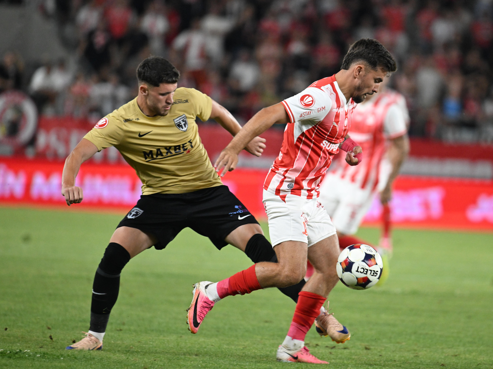 MVP în Dinamo - FC Voluntari 4-0! Jucătorul care a strălucit în demonstrația de fotbal a ”câinilor” 1 wp header logo 673