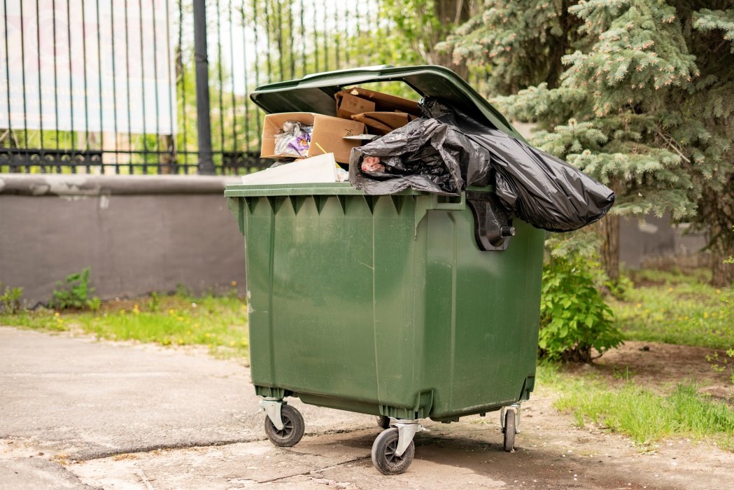 Cum scapi de muștele din jurul tomberonului. Trucurile simple care pot ține insectele la distanță în zilele călduroase 1 wp header logo 700