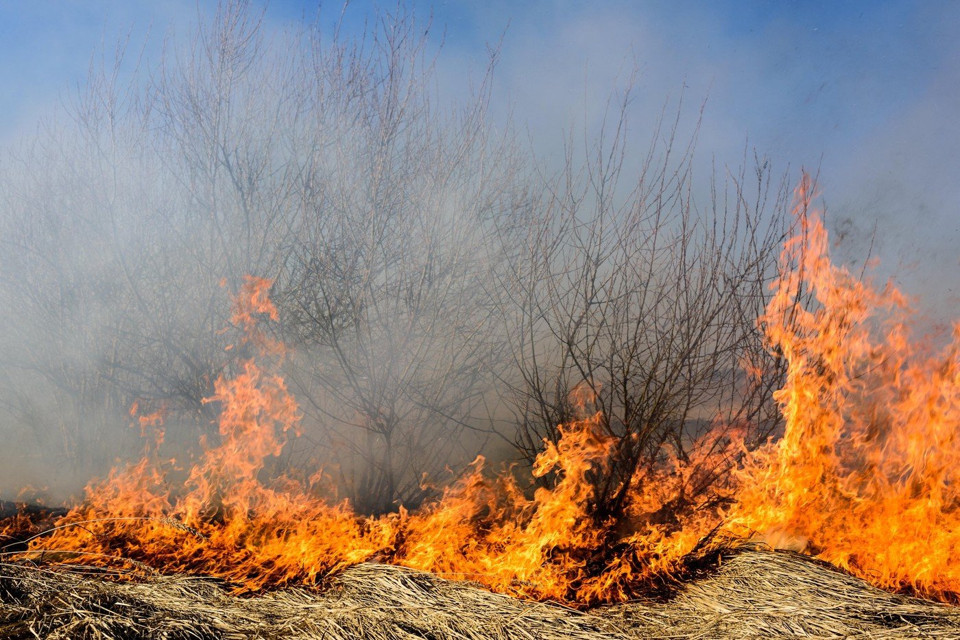 Patru noi incendii au izbucnit în Caraş-Severin. Au intervenit zeci de pompieri şi lucrători silvici, ajutaţi de două elicoptere 1 wp header logo 833