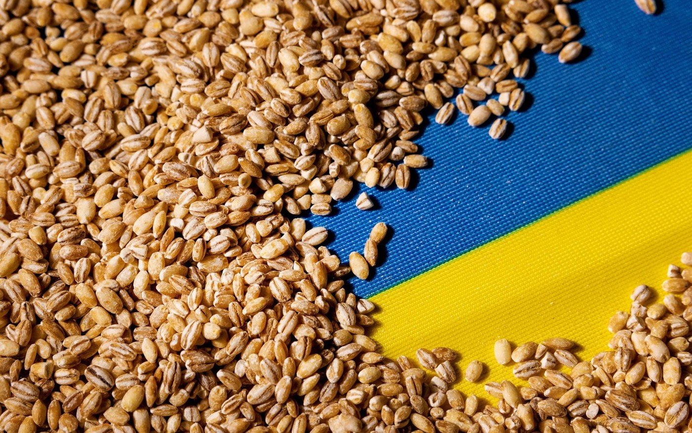 Portul Constanța, esențial în exportul cerealelor ucrainene. Kievul vrea coridor prin Republica Moldova (Reuters) 1 wp header logo 865
